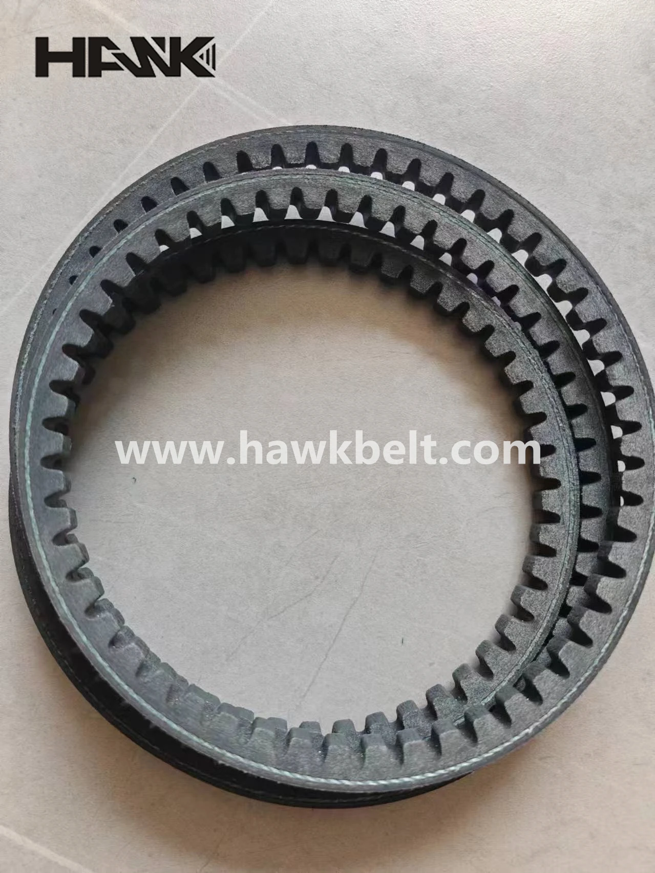 stepper motor belt