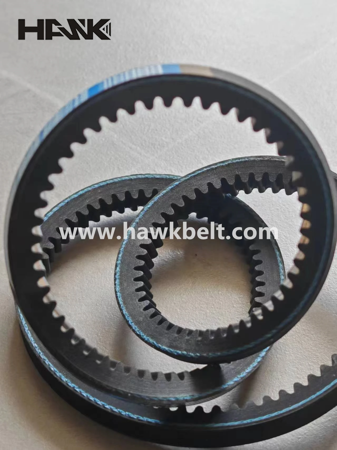 timing belt and timing chain