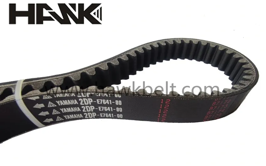 variable drive belt