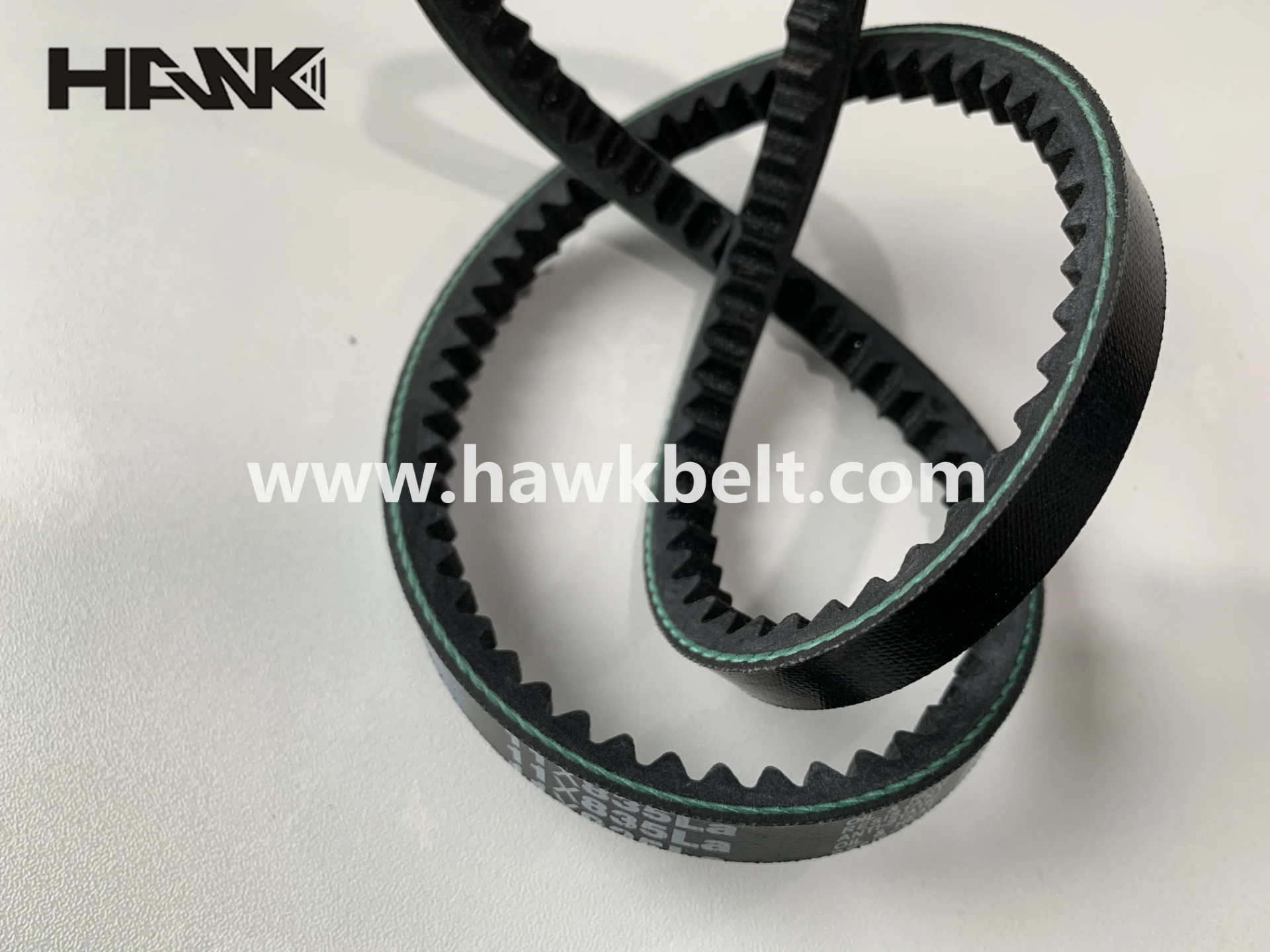 timing belt and timing chain