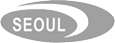 double sided serpentine belt