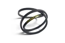 timing belt and timing chain